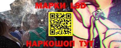 Альфа ПВП Малгобек