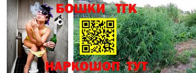 Альфа ПВП Малгобек