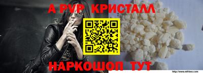 Альфа ПВП Малгобек